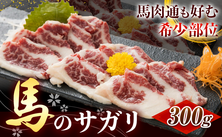 馬のサガリ 300g 桜屋[30日以内に出荷予定(土日祝除く)] 熊本県 南阿蘇村 送料無料 馬刺し 馬肉 肉 サガリ---sms_fsksgr_30d_24_15500_300g---