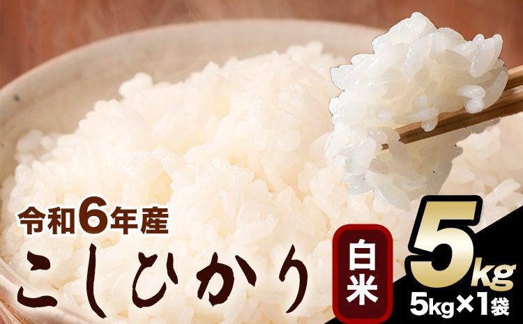 令和6年産 こしひかり 白米 5kg白米 精米 熊本県産(南阿蘇村産含む) 単一原料米 南阿蘇村[1月中旬-1月末頃出荷予定]---mna_kh6_j1_24_12000_5kg_h---