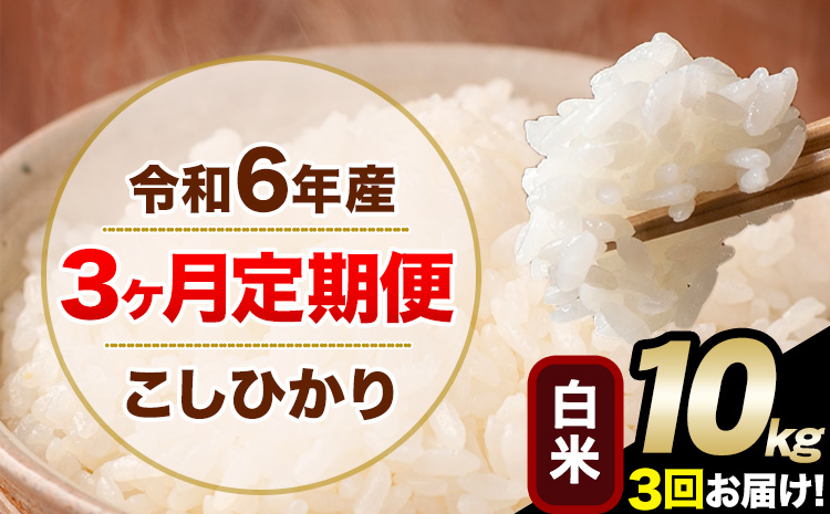 [3ヶ月定期便]令和6年産 定期便 こしひかり 白米 定期便 10kg 精米 熊本県産(南阿蘇村産含む) 単一原料米 南阿蘇村[お申込み翌月から発送]---kh6tei_58500_10kg_mo3_mna_h---