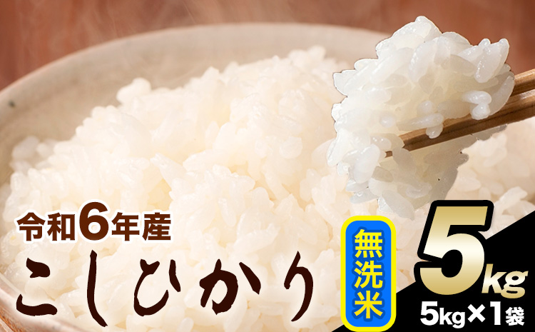 令和6年産 こしひかり 無洗米 5kg 精米 熊本県産(南阿蘇村産含む) 単一原料米 南阿蘇村[1月中旬-1月末頃出荷予定]---mna_kh6_j1_24_12000_5kg_m---