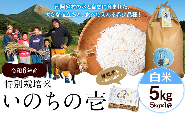 新米 令和6年産 米 いのちの壱(白米)5kg 雑穀米 付き[30日以内に出荷予定(土日祝除く)]南阿蘇 虹色のかば---sms_inci6_30d_24_14500_h5kg---
