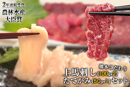 馬刺し 上赤身 (100g×2)+たてがみセット(50g×1) 肉[90日以内に出荷予定(土日祝除く)]---mna_fkgakatate_90d_22_12500_250---