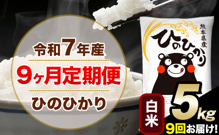 令和7年産 白米 [9ヶ月定期便] ひのひかり 5kg[お申込月の翌月から出荷開始] 白米 精米 熊本県産(南阿蘇村産含む) 単一原料米 南阿蘇村 ひの 送料無料 熊本県 SDGs むせんまい 米 コメ こめ 国産 定期便---hn7tei_112500_5kg_mo9_mna_h---