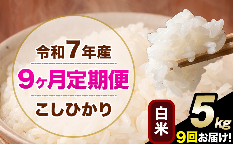令和7年産 [9ヶ月定期便] こしひかり 5kg 白米 精米 熊本県産(南阿蘇村産含む) 単一原料米 南阿蘇村 産 米 定期便[お申込月の翌月から出荷開始]---kh7tei_112500_5kg_mo9_mna_h---