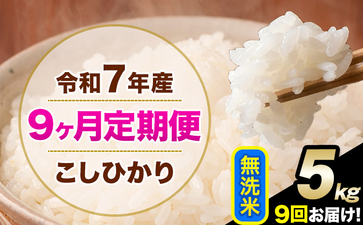 令和7年産 [9ヶ月定期便] こしひかり 5kg 無洗米 熊本県産(南阿蘇村産含む) 単一原料米 南阿蘇村 産 米 定期便[お申込月の翌月から出荷開始]---kh7tei_112500_5kg_mo9_mna_m---