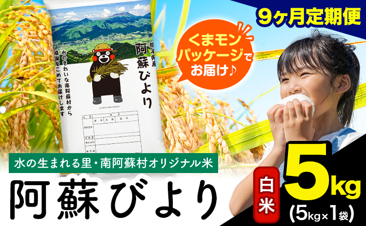 [9ヶ月定期便]阿蘇びより 白米 5kg (5kg×1袋)[お申し込みの翌月から出荷] |国産米 人気米 熊本県産米 お米---mna_abytei_5kg_103500_mo9_h---