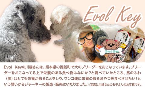ドッグフード ジャーキー 無添加 馬のふわ ジャーキー 30g ×1袋  Evol Key 熊本県 《30日以内に出荷予定(土日祝除く)》---sm_ekufjk_30d_r7_6500_1p---