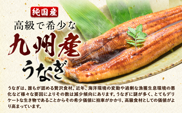 九州産 うなぎきざみ 12個《30日以内に出荷予定(土日祝除く)》ウナギ 鰻 送料無料 刻みうなぎ 刻み鰻 ボイル 九州 熊本 熊本県 御船町---mifune_lcl_1134_12---