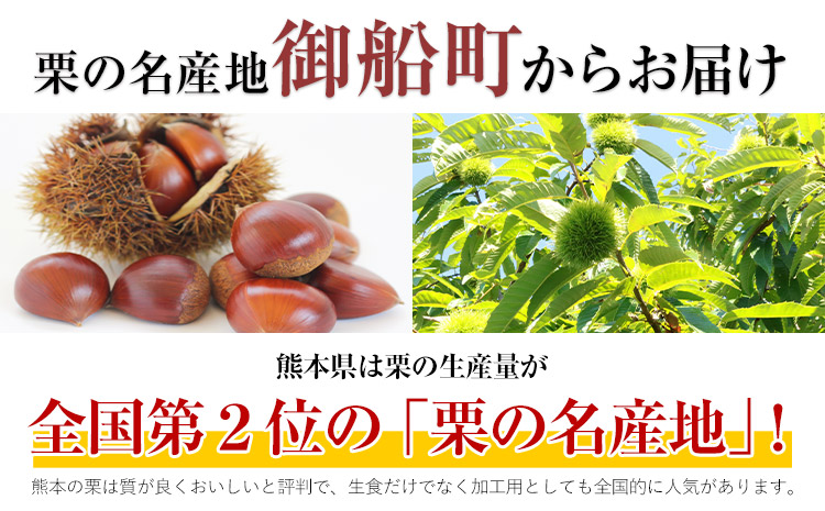 【先行予約】生栗 熊本県御船町産限定 約1kg(2L-Lサイズ) 期間限定 野菜 予約 スイーツ きんとん 甘露煮 渋皮煮《2026年9月上旬-9月下旬頃出荷》---mifune_lcl_199_1---