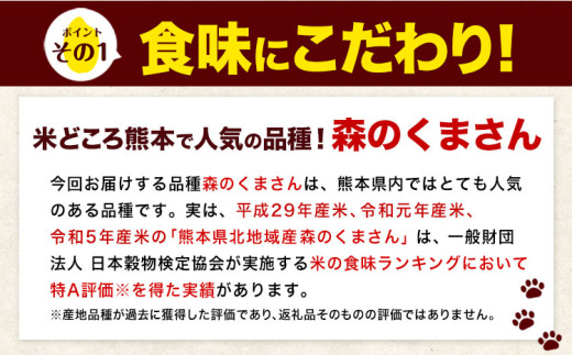 【6ヶ月定期便】新米 令和7年産 無洗米 森のくまさん 15kg 5kg×3袋 《お申込み翌月から出荷》 熊本県産 無洗米 精米 米 こめ コメ お米 kome---mifune_lcl_1075_mo6---