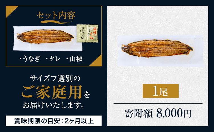 うなぎ ご家庭用 1尾 国産 鰻 真空パック おすすめ うなぎの蒲焼 《30日以内に出荷予定(土日祝除く)》 有頭 訳あり 簡易包装 不揃い ウナギ unagi 蒲焼 秋 冬 旬 配送時期 冷凍---mifune_lcl_71_1p---