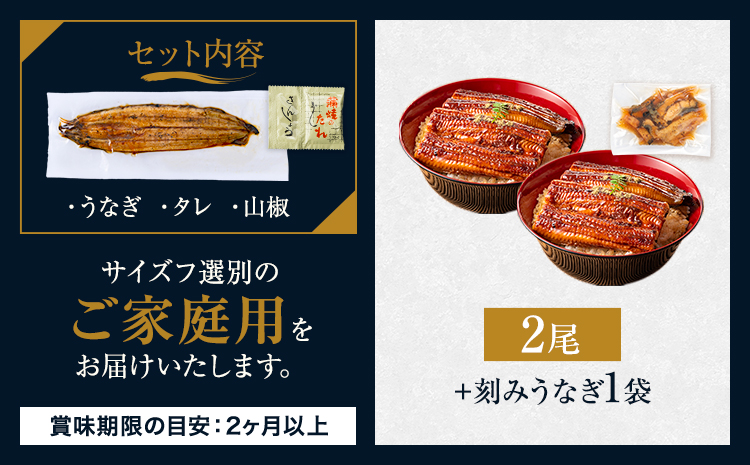 うなぎ 2尾 + 刻みうなぎ 1袋 【贈答箱入り】 国産 鰻 真空パック おすすめ うなぎの蒲焼 《30日以内に出荷予定(土日祝除く)》 有頭 訳あり 簡易包装 不揃い ウナギ unagi 蒲焼 秋 冬 旬 配送時期 冷凍---mifune_lcl_1138_2p---