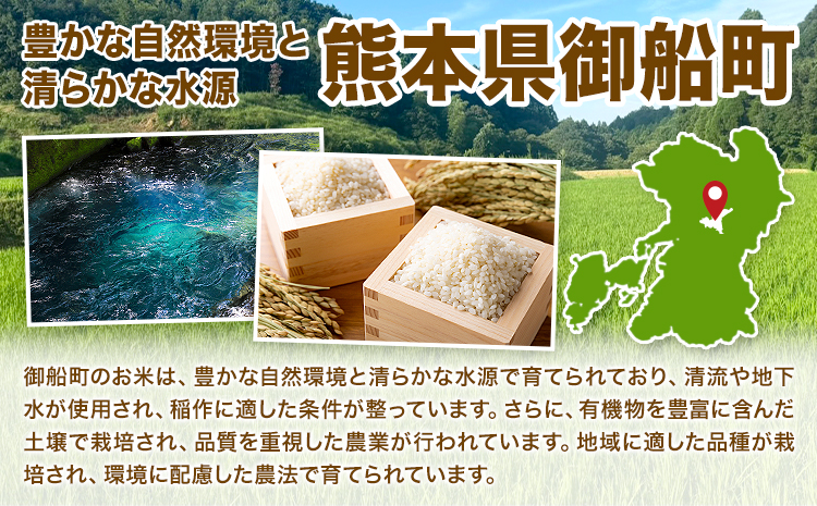玄米 10kg さこんたろう《90日以内に発送予定(土日祝除く)》熊本県 御船町 コメ おこめ ごはん 熊本県産---mifune_skt_4_10kg---