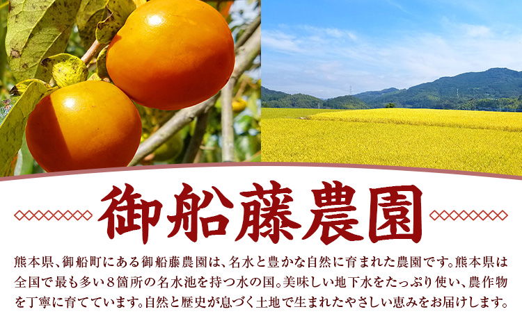 【先行予約】干し柿 8個 柿 果物 フルーツ かき 高瀬柿 御船藤農園《2026年11月中旬-2027年1月中旬頃出荷》熊本県 御船町 ドライフルーツ 甘味 くだもの 和菓子 熊本県産 おやつ スイーツ---mifune_mfn_7_8p---