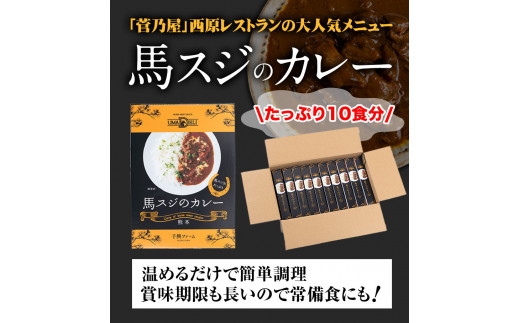 たっぷり！馬スジカレー 10食セット 千興ファーム《60日以内に出荷予定(土日祝除く)》---mifune_snk_19_10set---