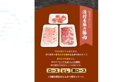 まうごつうまかとんかつセット 1kg 清村養豚《60日以内に出荷予定(土日祝除く)》 ロース ヒレ 肩ロース とんかつ かつ丼 ---mifune_kym_1_1kg---