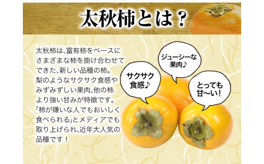柿の横綱！『太柿』10玉前後(約3.5kg前後) 熊本県  JAかみましき《10月中旬-11月上旬頃出荷》フルーツ 熊本県産 ---sm_jatkaki_g10_21_10000_3500g---st-p