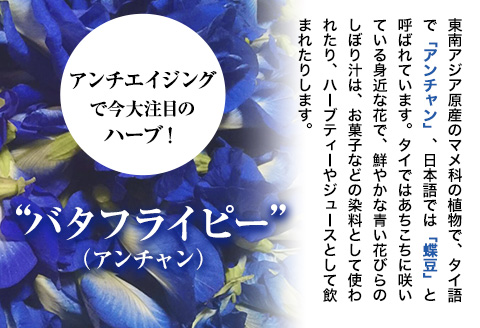 アンチャンティー 3袋(1袋5パック入り)《60日以内に出荷予定(土日祝除く)》福永幸山堂 アンチャンティー ---sm_att_60d_25_6500_3p---