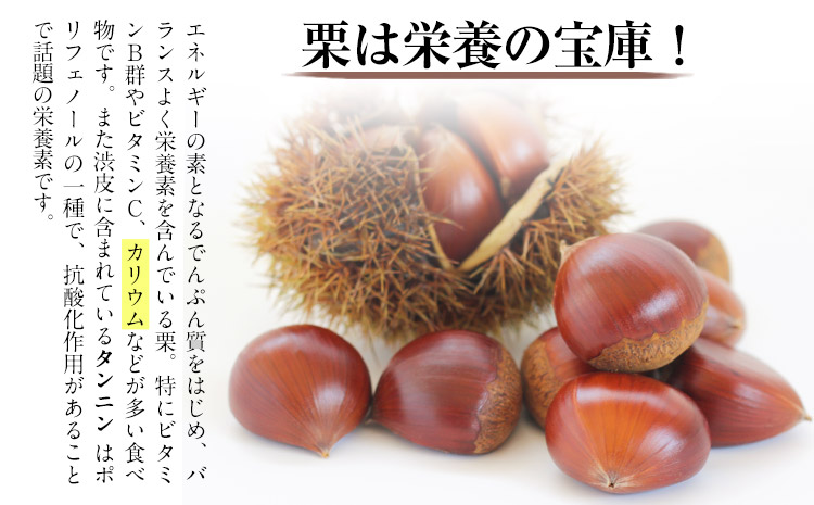 【先行予約】生栗 熊本県御船町産限定 約1kg(2L-Lサイズ) 期間限定 野菜 予約 スイーツ きんとん 甘露煮 渋皮煮《2026年9月上旬-9月下旬頃出荷》---mifune_lcl_199_1---
