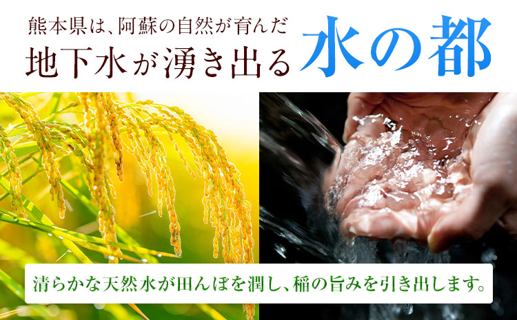 熊本ふるさと無洗米 20kg 無洗米 訳あり《1-5日以内に出荷予定(土日祝除く)》  熊本県産 無洗米 5kg×4袋---mifune_lcl_1358_20kg---