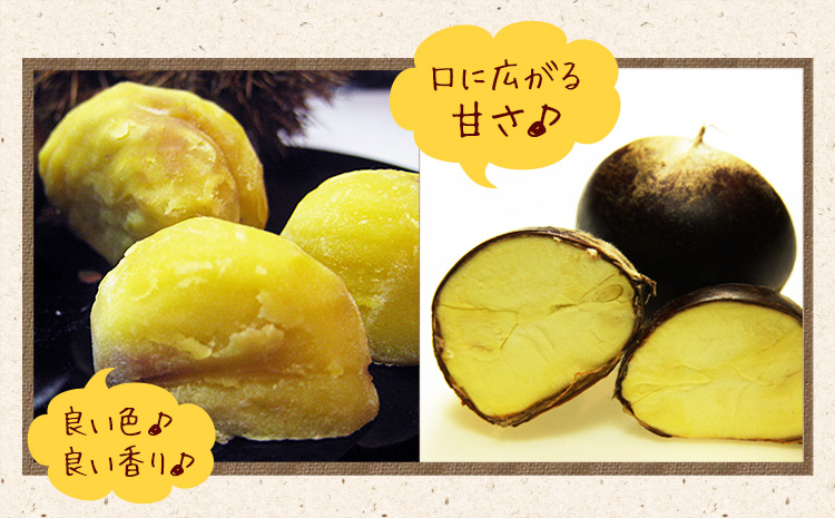 【先行予約】利平栗 約1kg(3L-2Lサイズ)　期間限定 野菜 予約 スイーツ きんとん 甘露煮 渋皮煮 《9月上旬-10月上旬出荷》---mifune_lcl_213_1---