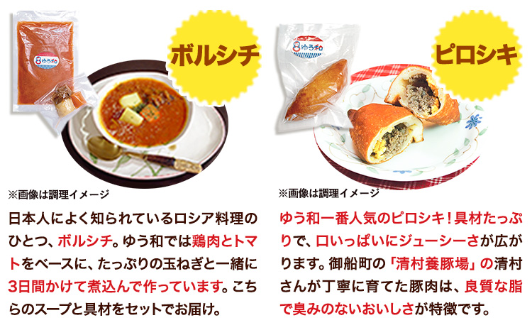 ゆう和 ピロシキ ボルシチ セット 計10食分 ボルシチ4食 ピロシキ6食 ギャラリーレストランゆう和 　加工食品　レトルト　惣菜　御船町《30日以内に出荷予定(土日祝除く)》 ピロシキ トマトボルシチ 冷凍 熊本県 御船町 有限会社ながもと---mifune_ywa_3_10p---