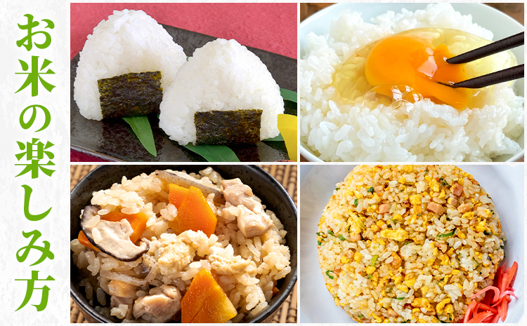 白米 5kg さこんたろう《90日以内に発送予定(土日祝除く)》熊本県 御船町 コメ おこめ 白米 ごはん 熊本県産---mifune_skt_1_5kg---