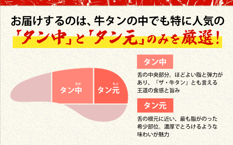 牛タン 牛肉 塩麹 250g《30日以内に出荷予定(土日祝除く)》熊本県 御船町 牛肉 タン たん 牛タン 焼肉 お試し 小分け 牛 牛たん タン中 タン元 牛タン---mifune_lcl_210_250s---