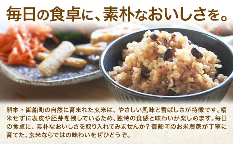 玄米 5kg さこんたろう《90日以内に発送予定(土日祝除く)》熊本県 御船町 コメ おこめ ごはん 熊本県産---mifune_skt_2_5kg---
