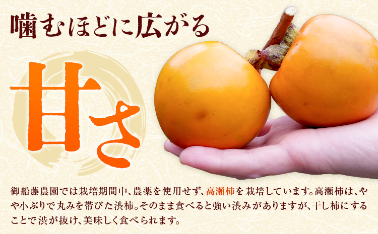 【先行予約】干し柿 8個 柿 果物 フルーツ かき 高瀬柿 御船藤農園《2026年11月中旬-2027年1月中旬頃出荷》熊本県 御船町 ドライフルーツ 甘味 くだもの 和菓子 熊本県産 おやつ スイーツ---mifune_mfn_7_8p---