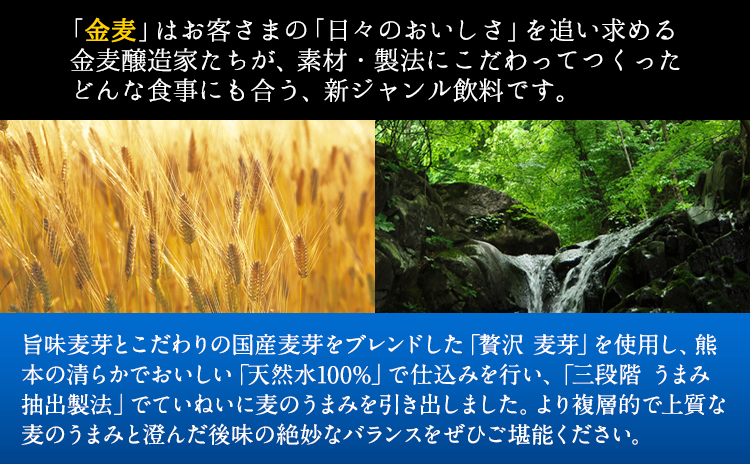 6ヶ月定期便“”金麦2ケース ビール 350ml×48本 《お申込み月の翌月から出荷開始》---mifune_snt_18_mo6num1---