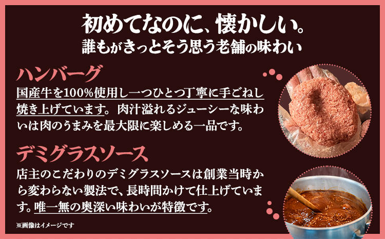 デミグラスソース ハンバーグ 200g×3 計600g キッチンふじ 冷凍 《60日以内に出荷予定(土日祝除く)》ジューシー 肉 牛肉 熊本県御船町 惣菜 お弁当 加工食品---sm_fktfhmb_60d_r7_15500_600g---