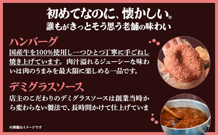 デミグラスソース ハンバーグ 200g×2 計400g キッチンふじ 冷凍 《60日以内に出荷予定(土日祝除く)》ジューシー 肉 牛肉 熊本県御船町 惣菜 お弁当 加工食品---mifune_fzi_4_400g---
