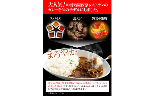 たっぷり！馬スジカレー 10食セット 千興ファーム《60日以内に出荷予定(土日祝除く)》---mifune_snk_19_10set---