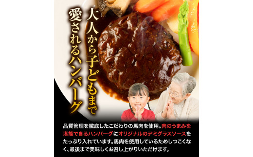 馬肉デミハンバーグ 200g×8個 計1.6kg 千興ファーム 馬肉  御船町《60日以内に出荷予定(土日祝除く)》---smifune_snk_24_8s---