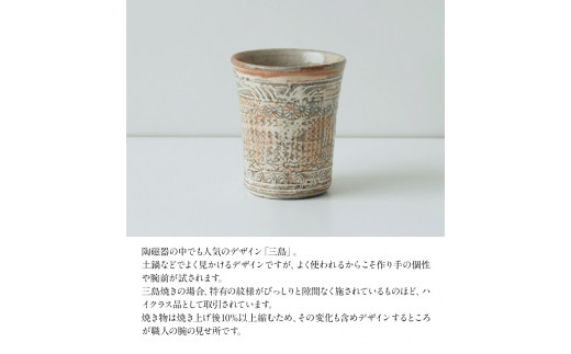 【陶器】三島コップ（ペア）一道窯 《受注制作につき最大3カ月以内に出荷予定》---sm_ichidomisimax_90d_20_22500_x2---