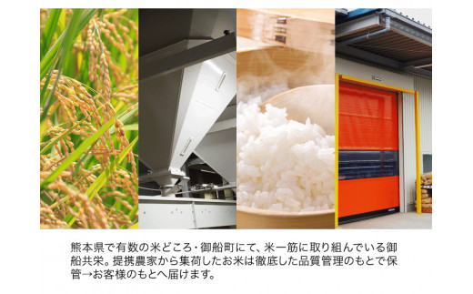 安心・安全 御船町産限定！【令和4年産】 ひのひかり 精米約12kg 御船共栄株式会社《30日以内に出荷予定(土日祝除く)》---sm_mkhino3_30d_22_15000_sei12kg---st-p