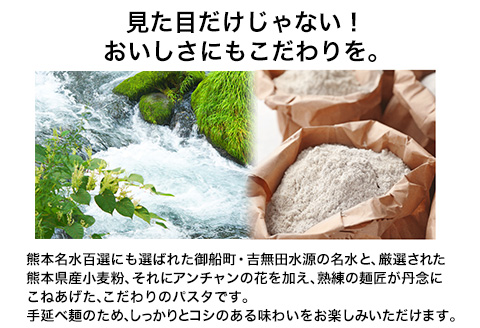 御船町 福永幸山堂のそらいろパスタ 3個入り《60日以内に出荷予定(土日祝除く)》熊本県 御船町 福永幸山堂 パスタ 青いパスタ---mifune_hkn_11_3p---