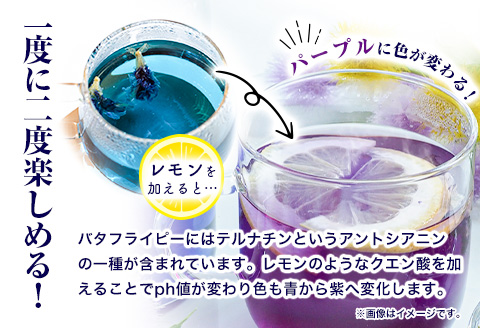 アンチャンティー 3袋(1袋5パック入り)《60日以内に出荷予定(土日祝除く)》福永幸山堂 アンチャンティー ---sm_att_60d_25_6500_3p---