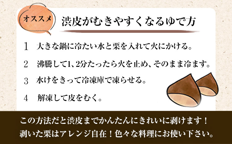【先行予約】生栗 熊本県御船町産限定 約1kg(2L-Lサイズ) 期間限定 野菜 予約 スイーツ きんとん 甘露煮 渋皮煮《2026年9月上旬-9月下旬頃出荷》---mifune_lcl_199_1---