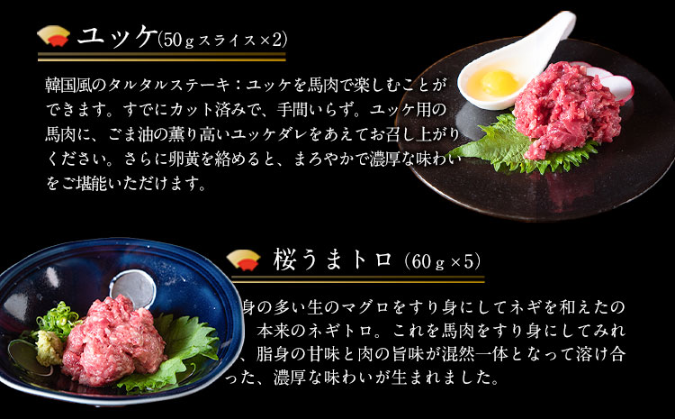 【6ヶ月定期便】馬刺し 厳選プレミアムスライス馬刺しセット 1kg 千興ファーム 馬肉 冷凍 《申込みの翌月から発送》 新鮮 さばきたて 真空パック SQF ミシュラン 生食用 肉 菅乃屋 熊本県御船町 スライス 馬刺 ばさし 贈答 ギフト 熊本 国産 ばさし 馬さし 馬刺---sm_fspbtei_r7_185500_1kg_mo6---