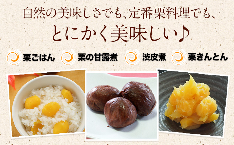 【先行予約】利平栗 約1kg(3L-2Lサイズ)　期間限定 野菜 予約 スイーツ きんとん 甘露煮 渋皮煮 《9月上旬-10月上旬出荷》---mifune_lcl_213_1---