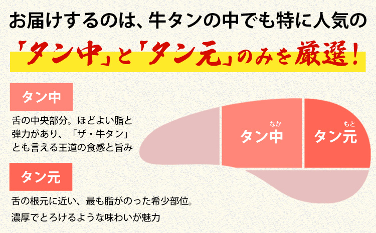 牛タン 牛肉 牛タン 焼肉 500g《30日以内に出荷予定(土日祝除く)》熊本県 御船町 牛肉 タン たん 牛タン 焼肉 食べ比べ 大容量 小分け 牛 牛肉たん タン中 タン元 牛タン レビュー---mifune_lcl_183_500yr---