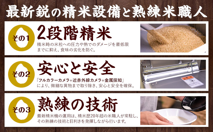 【3ヶ月定期便】熊本ふるさと無洗米 20kg 訳あり《お申込み翌月から出荷》 熊本県産 無洗米 5kg×4袋---mifune_lcl_945_mo3---