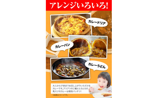 たっぷり！馬スジカレー 10食セット 千興ファーム《60日以内に出荷予定(土日祝除く)》---mifune_snk_19_10set---