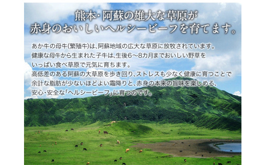 熊本県産 あか牛サーロインステーキ 約200g×2枚 肉のみやべ《120日以内に出荷予定(土日祝除く)》---mifune_myb_17_400g---
