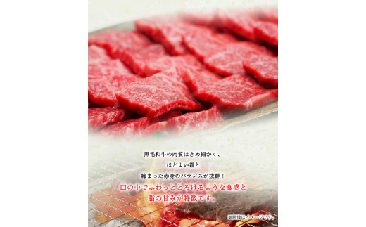 くまもと黒毛和牛 肩スライス（焼肉用）400g 肉のみやべ 《90日以内に出荷予定(土日祝除く)》 焼肉 チンジャオロースー ---sm_fmiyasyk_90d_22_13500_400g---