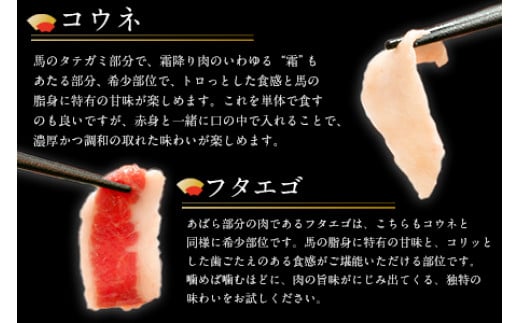 厳選プレミアム 馬刺し セット 460g 熊本 千興ファーム 馬肉 《60日以内に出荷予定(土日祝除く)》 冷凍 ---mifune_snk_2_460g---