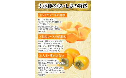 柿の横綱！『太柿』10玉前後(約3.5kg前後) 熊本県  JAかみましき《10月中旬-11月上旬頃出荷》フルーツ 熊本県産 ---sm_jatkaki_g10_21_10000_3500g---st-p