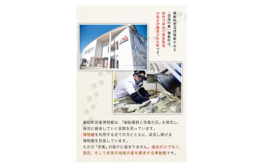 熊本県御船町 御船町恐竜博物館観覧チケット（大人3名様） 御船町恐竜博物館《30日以内に出荷予定(土日祝除く)》---sm_kyoryuticket_30d_r7_7000_a3---